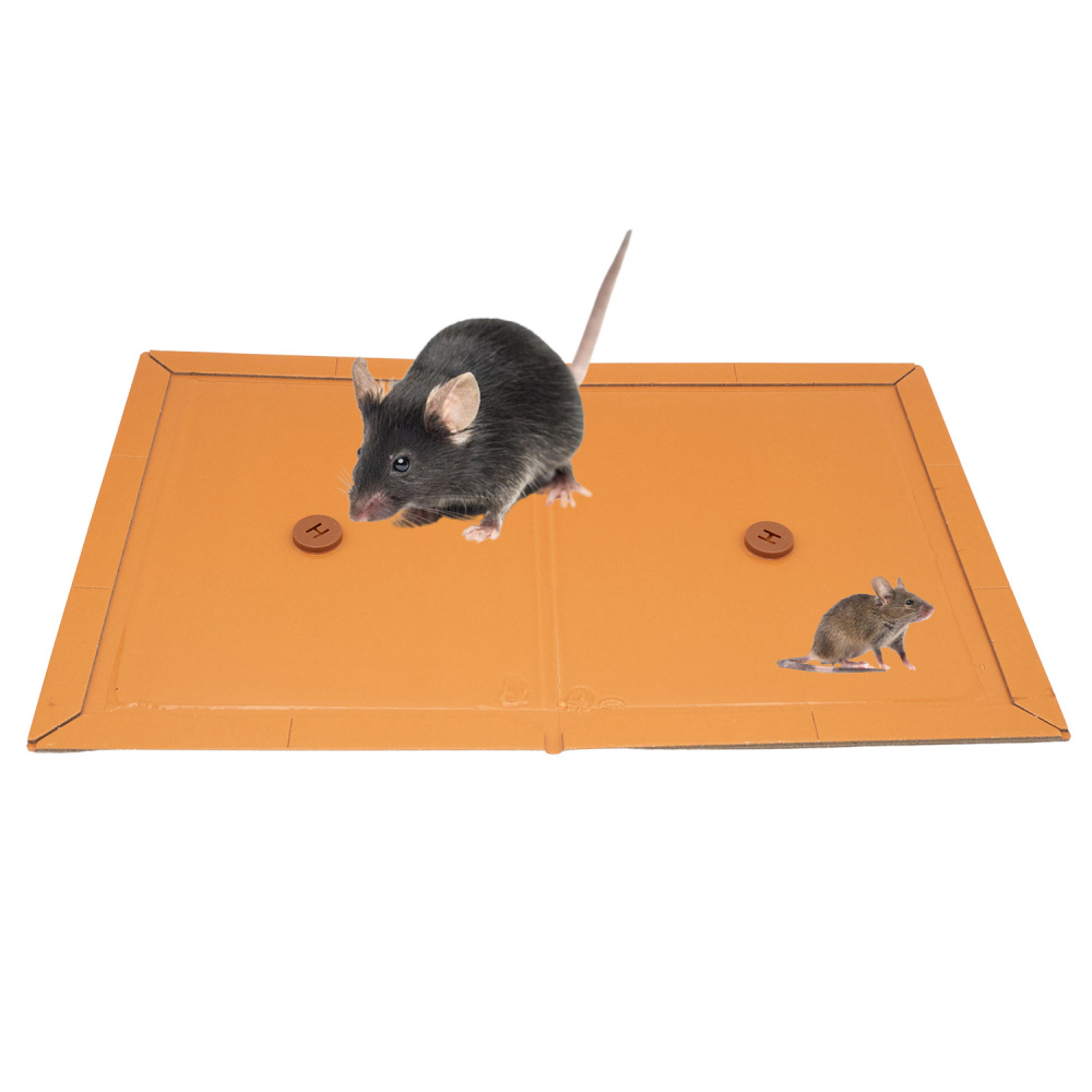 Plaque de Glue pour Rat, Anti nuisible