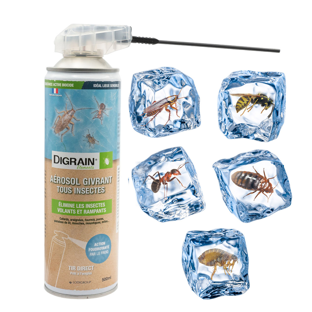 Anti araignées Insecticide Digrain laque 1L