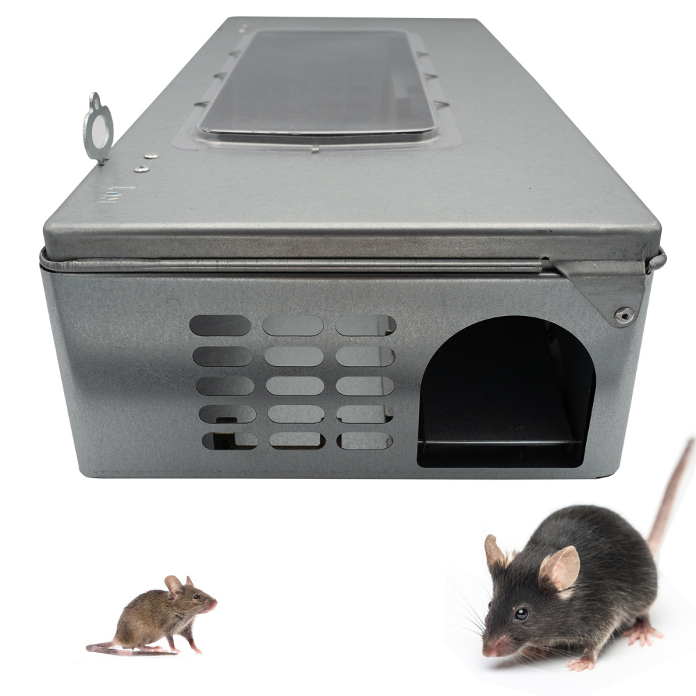 RDGM - Piège à Rats Super Astucieux en 2 min. Permet de piéger beaucoup de  rats en même temps ! 