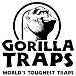 Piège à rats Gorilla Trap et poste d'appâtage Vanguard : ça sonne un rat  est piégé ! 